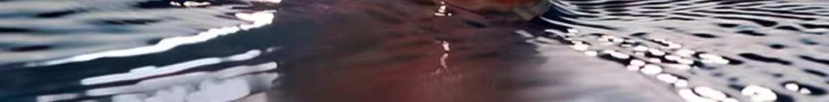 167701 2