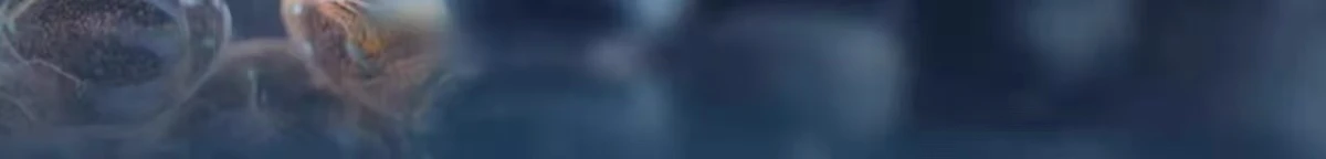 167701 7