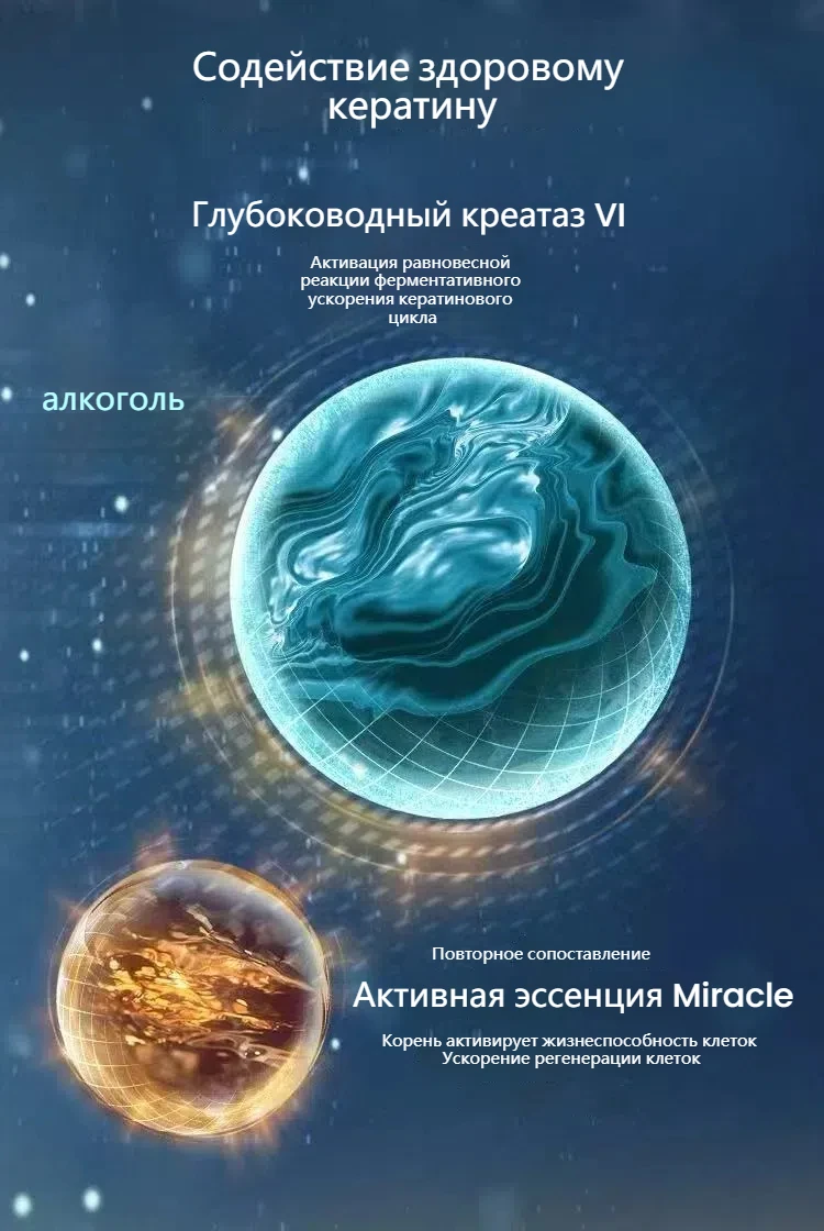 167701 8