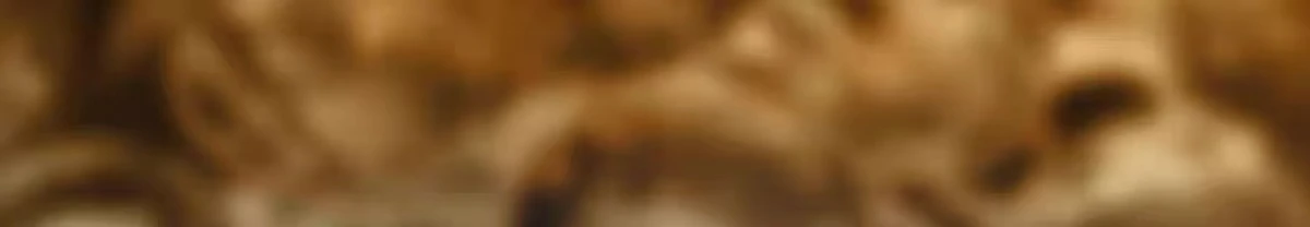 175527 5
