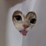 Виолетта