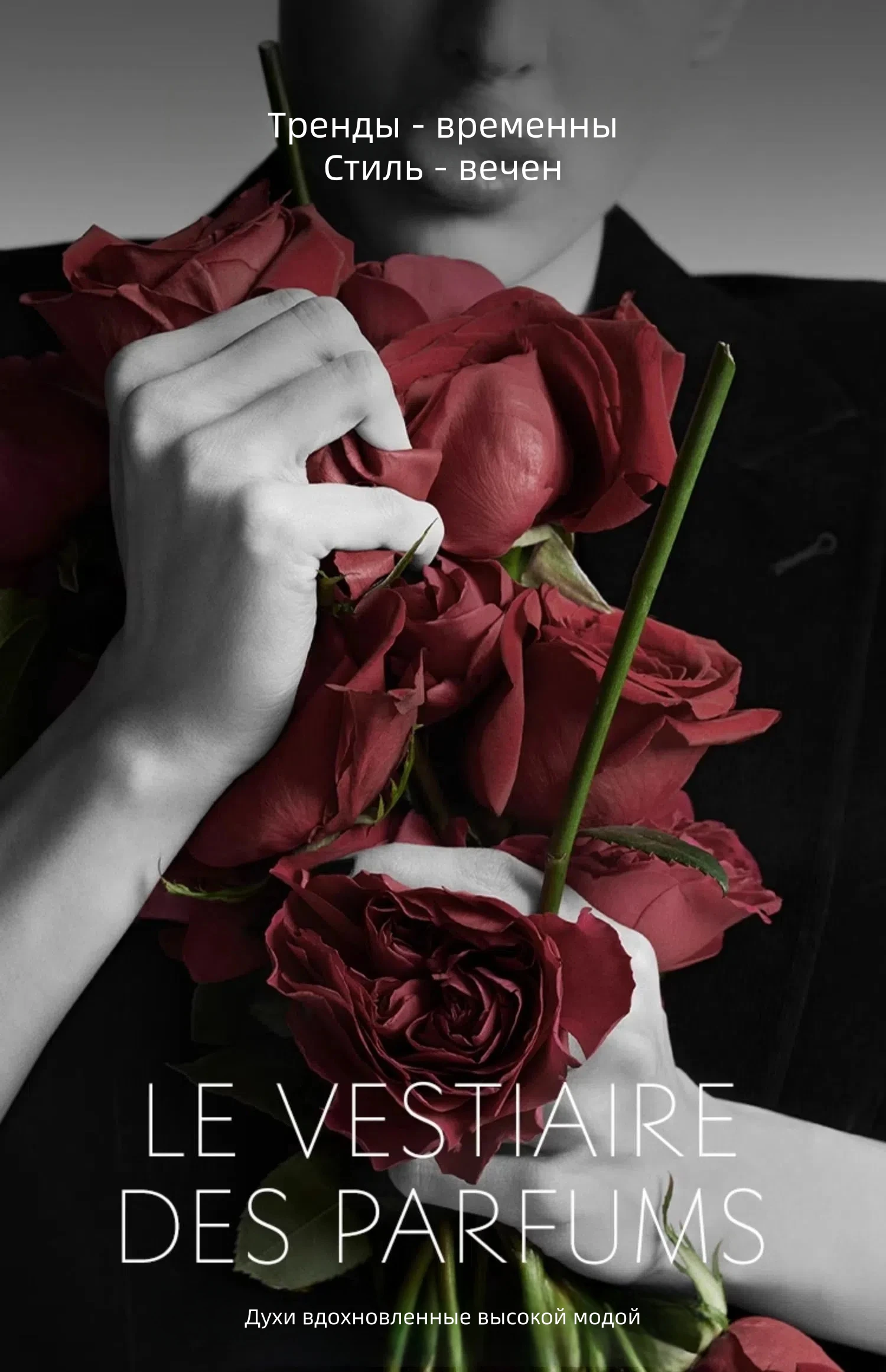 50045YSL 1