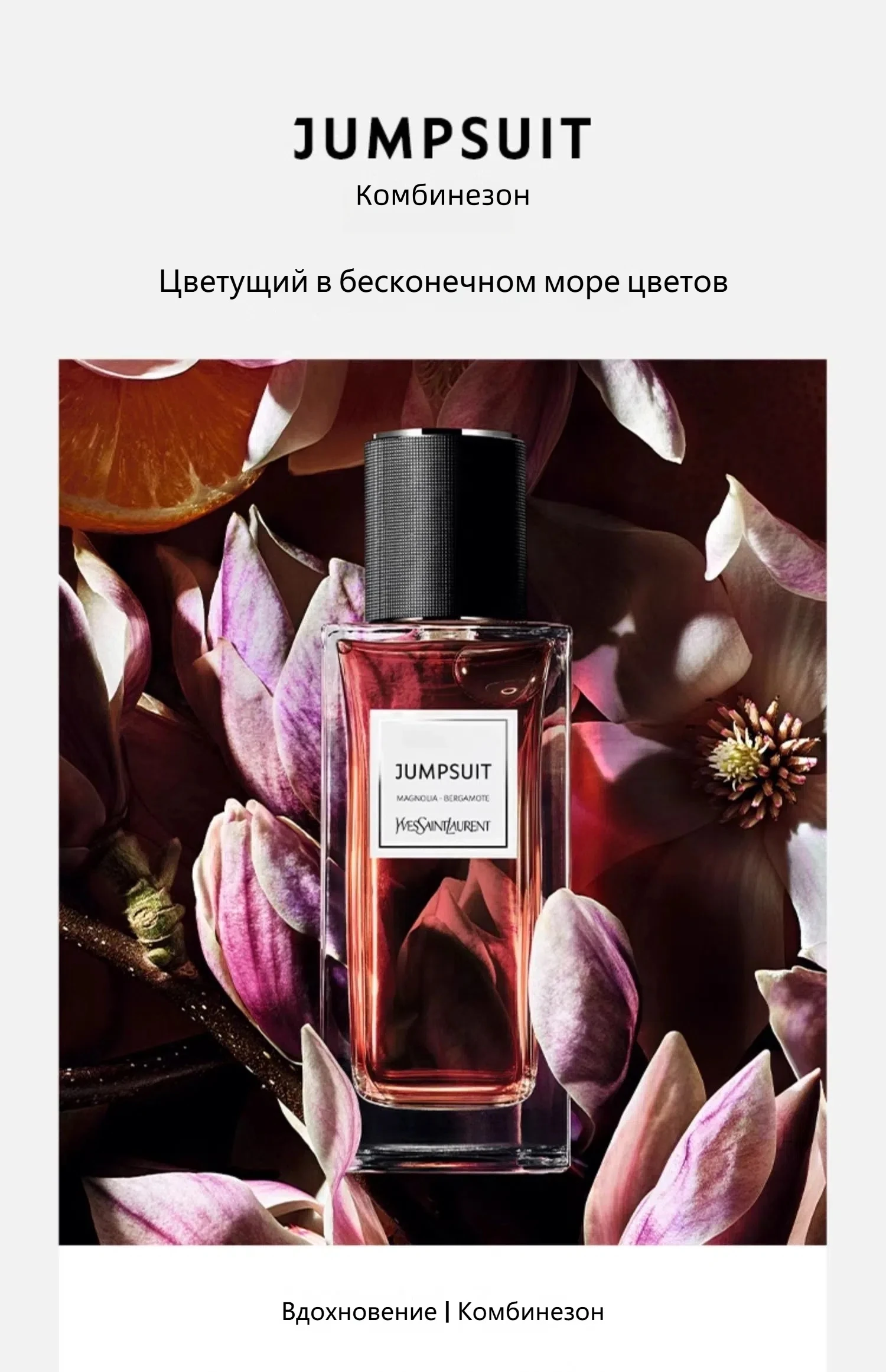 50634YSL 3