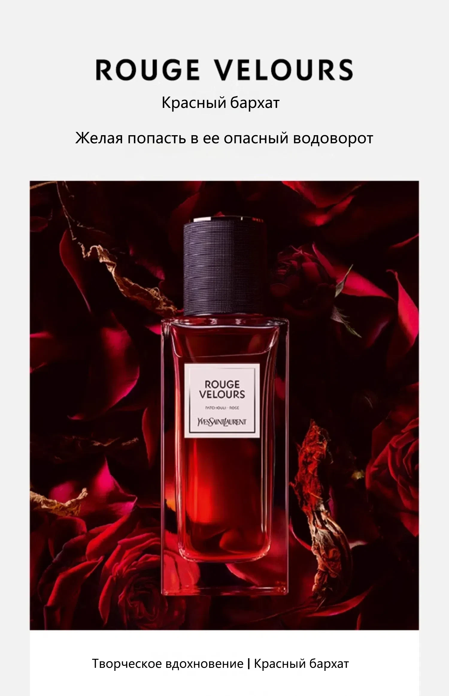 50830YSL 3