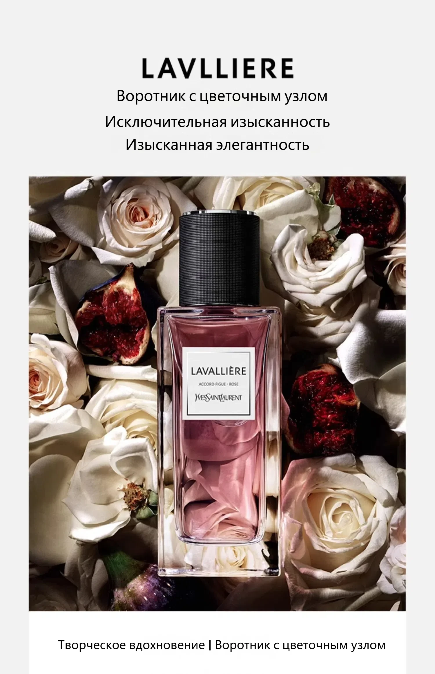 51018YSL 3