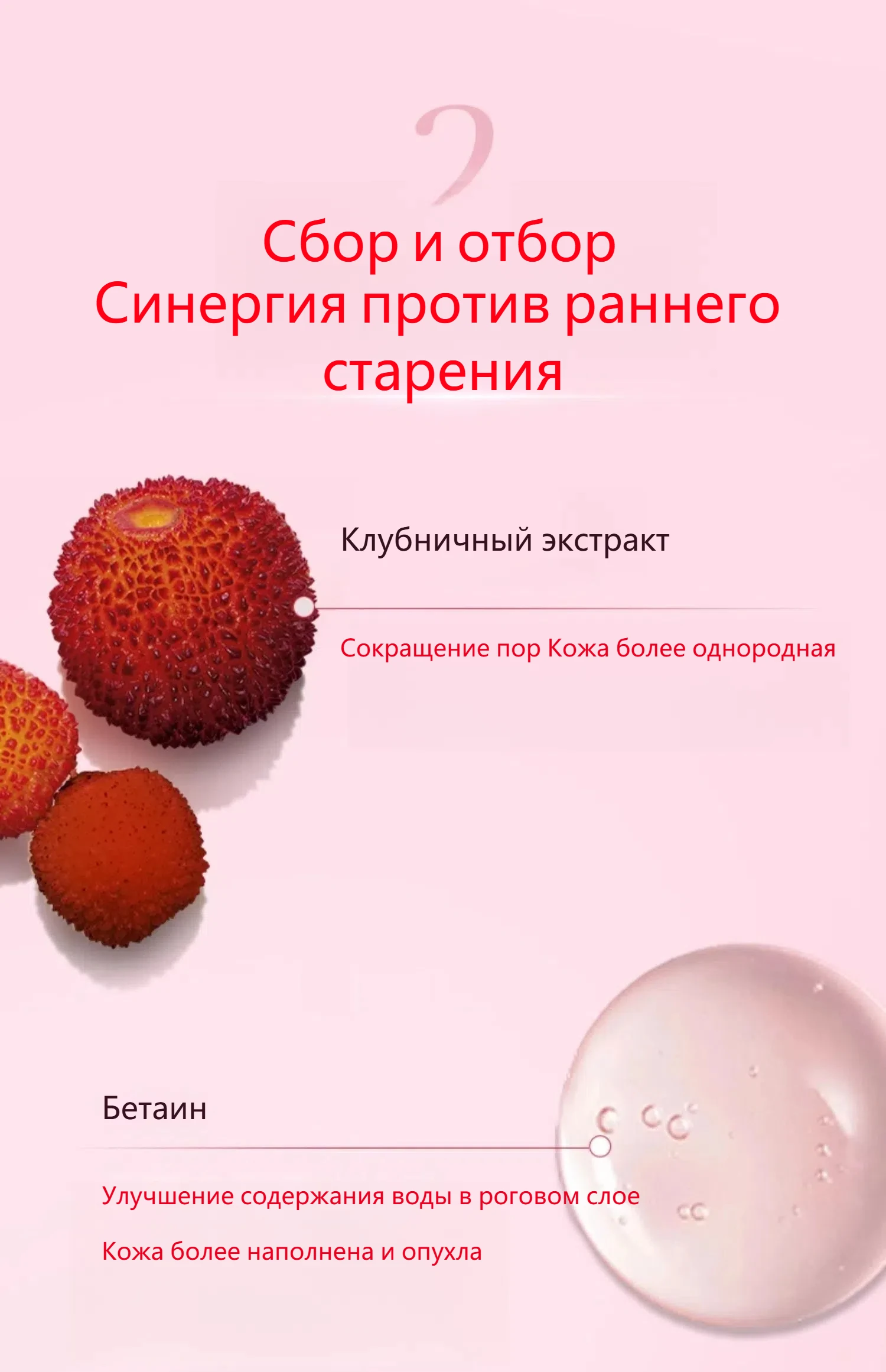 80076664 6
