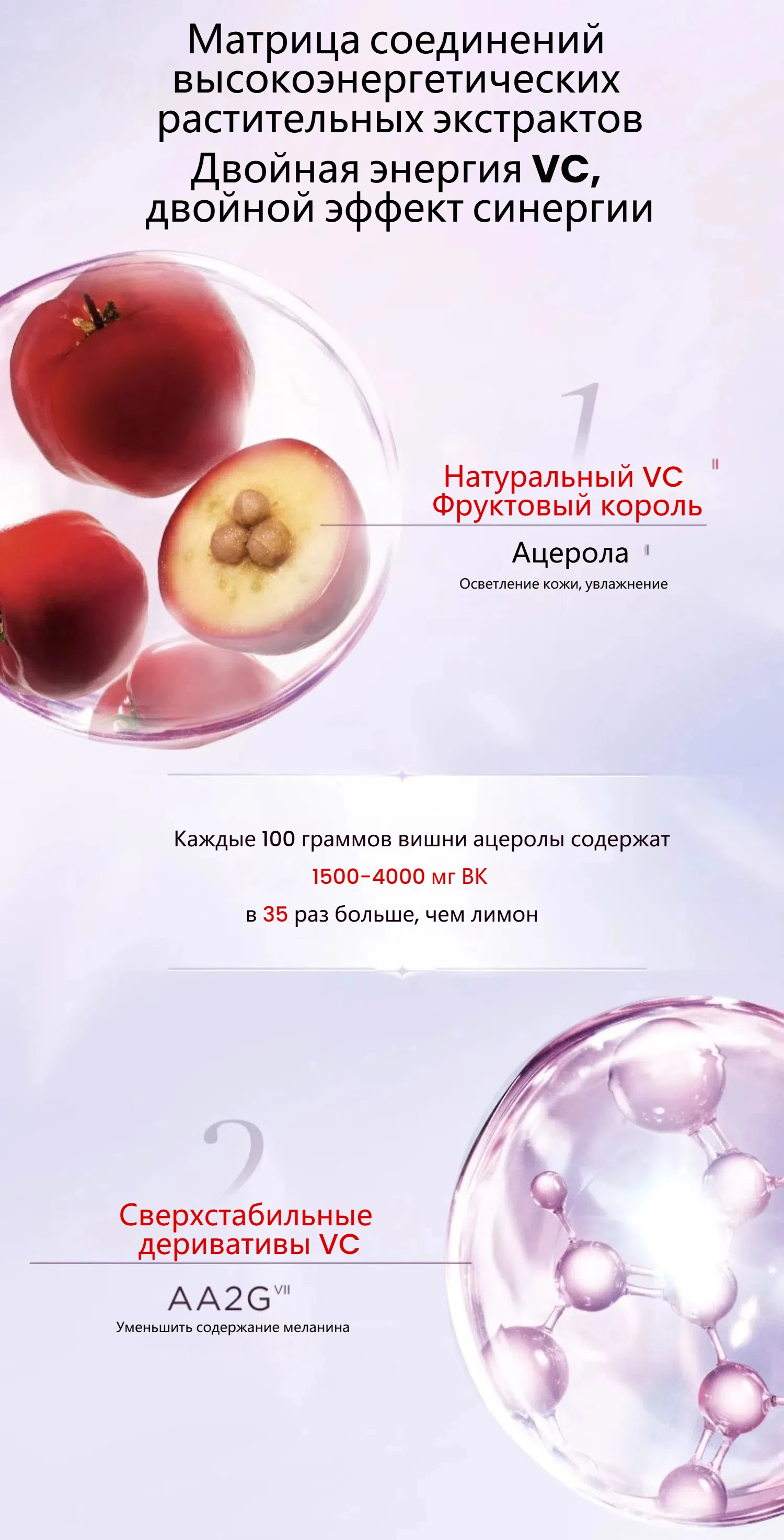 80083015 2