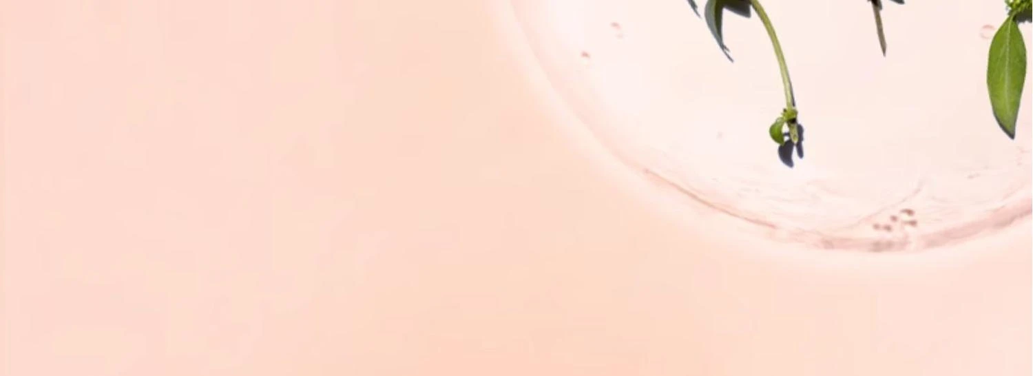 80109243 10