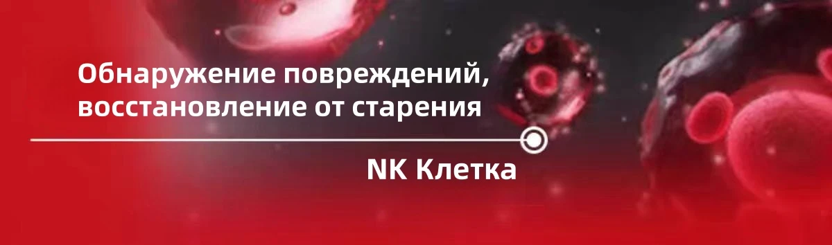 9990000000213 5