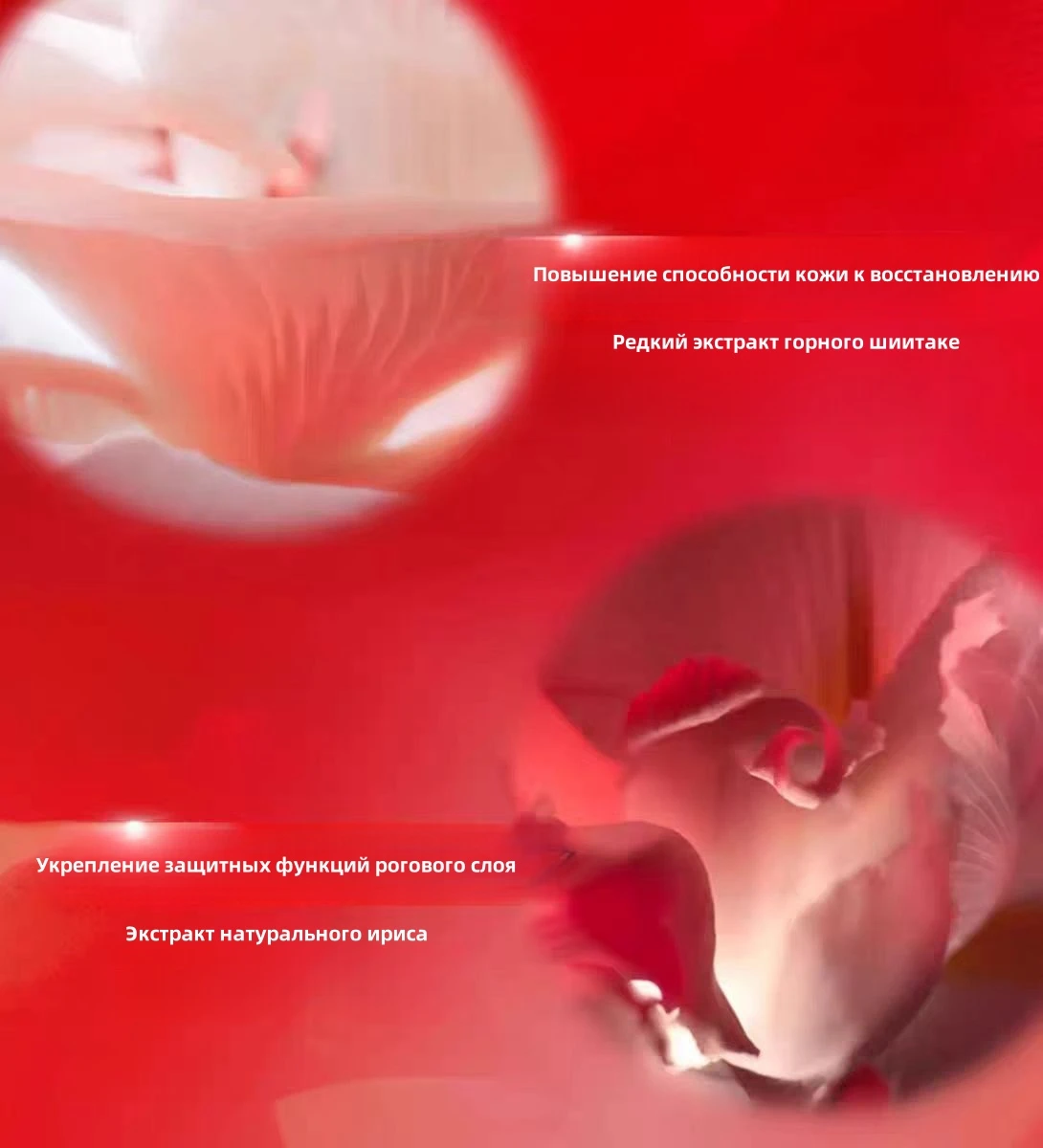 9990000000213 7