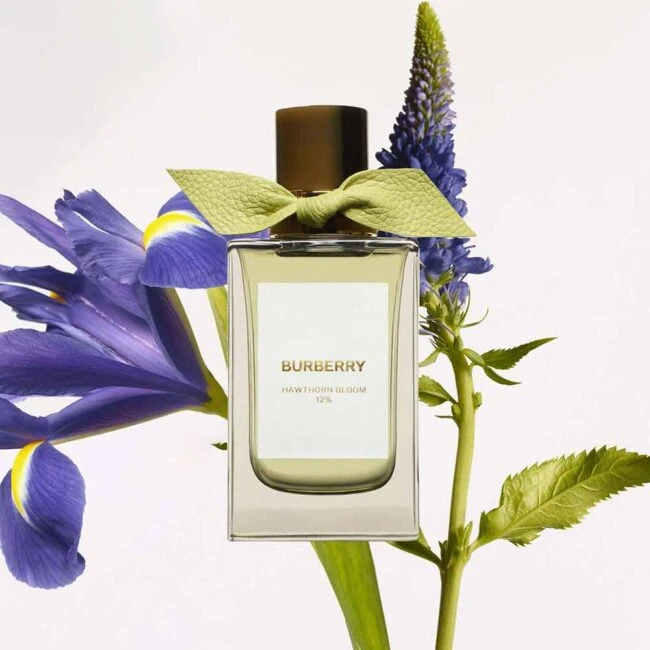 Burberry Signatures Hawthorn Bloom Eau de Parfum Парфюмированная вода 2