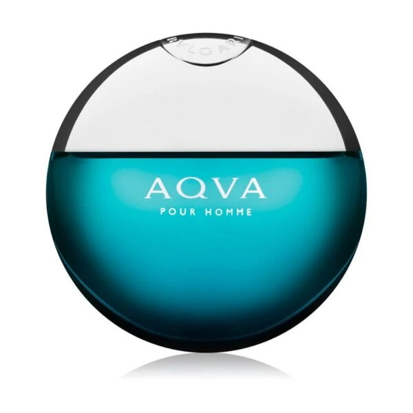 Bvlgari Туалетная вода для мужчин AQVA Pour Homme, 100 мл