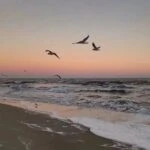 Филиппова​