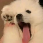 Анастасия​