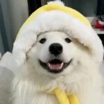 .vera_fedotova