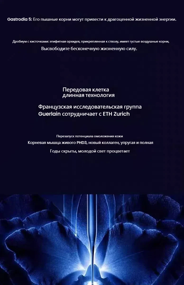 P061687 5