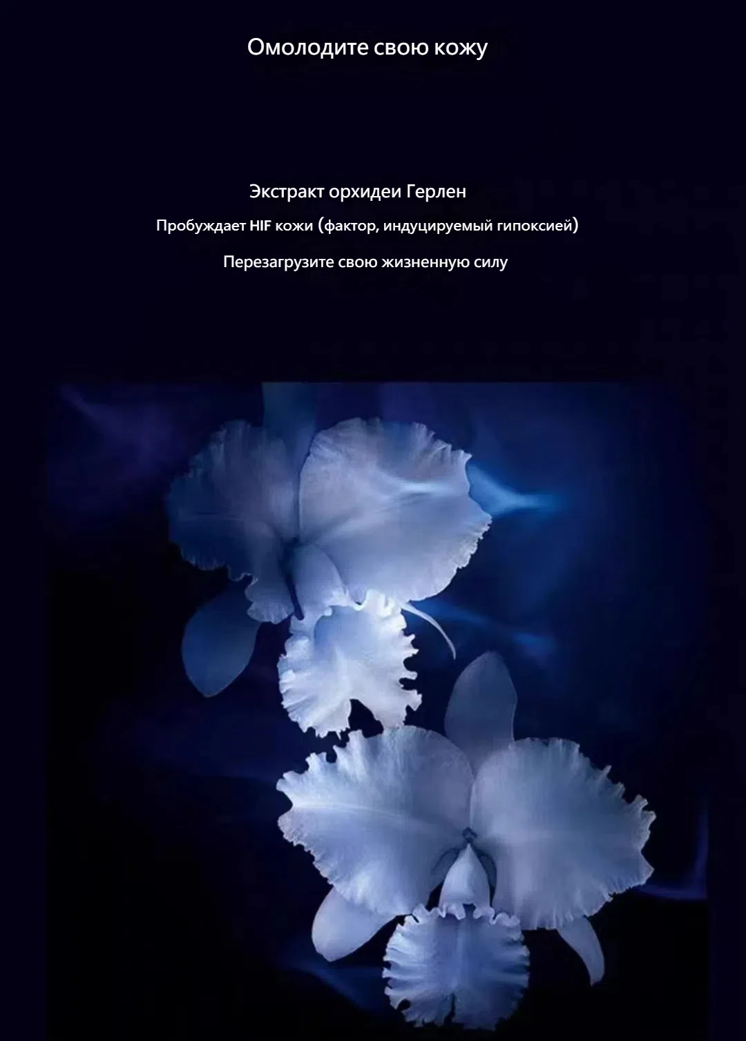 P061894 4