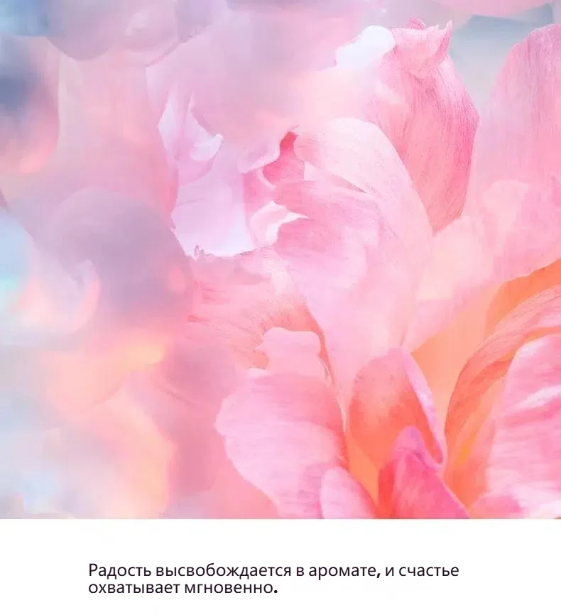 Y0996027 5