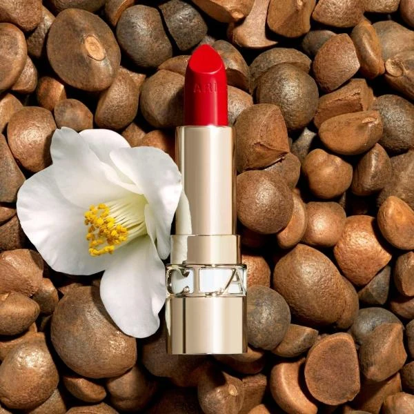 Губная помада Clarins с атласным эффектом Joli Rouge 3.5 г 02